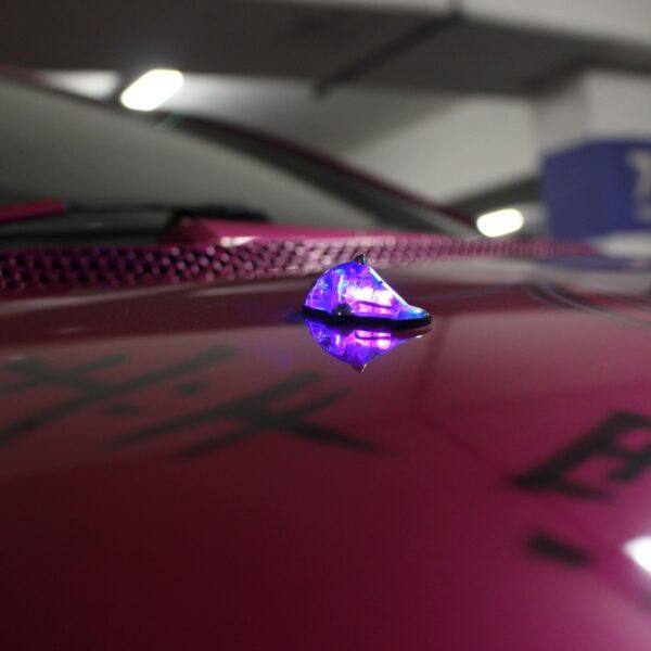 THE S3XY YARIS - Image 30